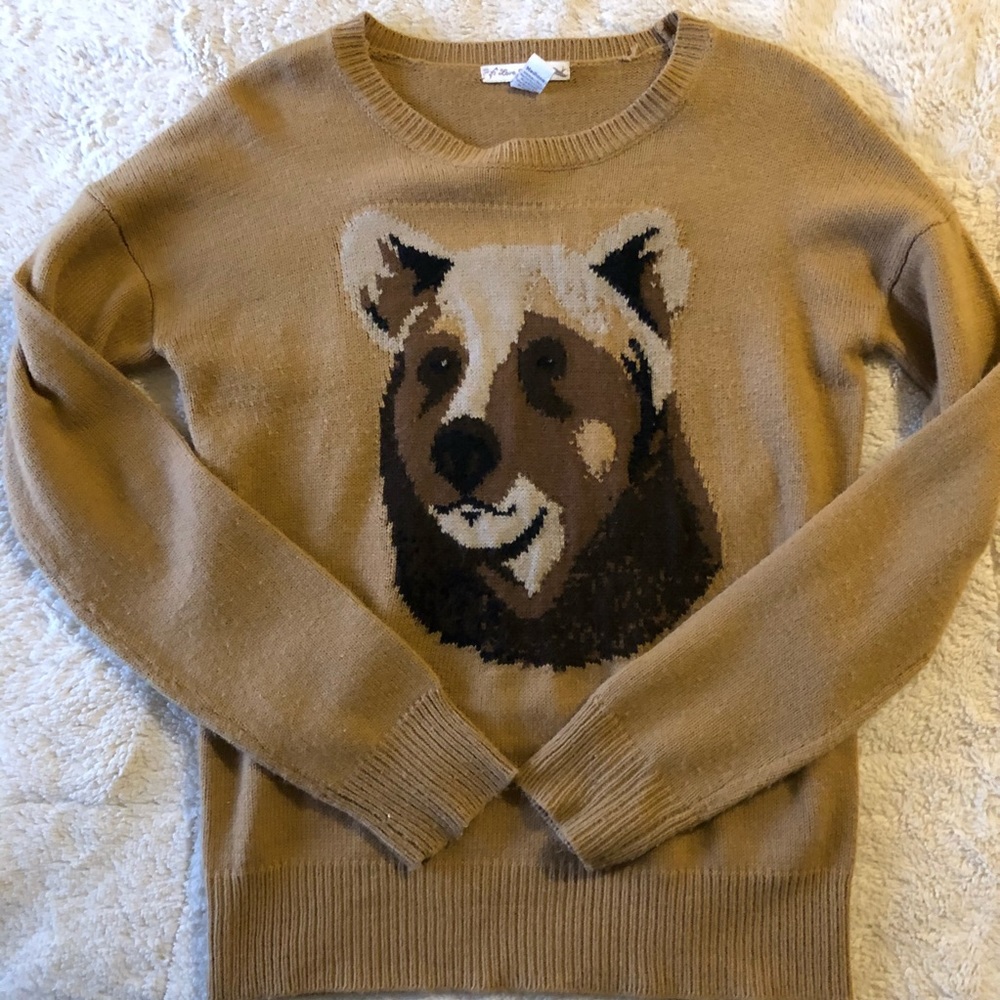 Bear sweater